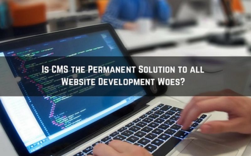 cms importance in website development