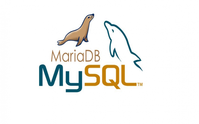 Maria DB MySQL